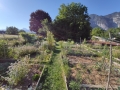2019-06-29-18-31-39