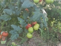 2019-08-19-16-55-31
