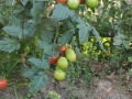 2019-08-19-16-55-38