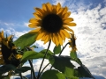 2019-08-19-16-56-24