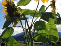 2019-08-19-16-56-34