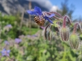 2019-08-19-17-05-29