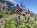 2019-08-19-17-06-12