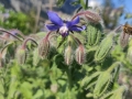 2019-08-19-17-06-21