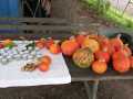 IMG-20251004-WA0006