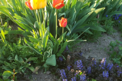April/Mai 2018