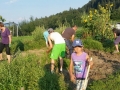 27863-02-25 04-38-29 (18)
