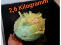 IMG-20180828-WA0004
