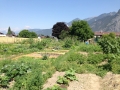 2015-07-05 11-08-07_Bildgröße ändern