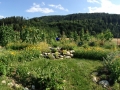 2015-07-20 16-42-54 (2)