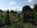 2015-07-20 16-45-58 (2)