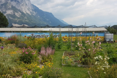 Juni/Juli 2018