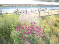 kematergartl_009
