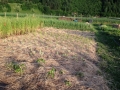 2016-06-07 19-53-27_Bildgröße ändern