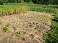 2016-06-20 17-46-34_Bildgröße ändern