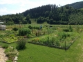 2016-06-25 11-42-12_Bildgröße ändern
