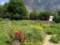 2016-06-25 11-42-25_Bildgröße ändern