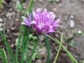 2015-05-24 19-55-13_Bildgröße ändern