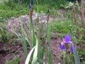 2015-05-24 19-56-06_Bildgröße ändern