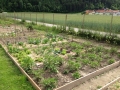 2015-05-30 16-31-17_Bildgröße ändern